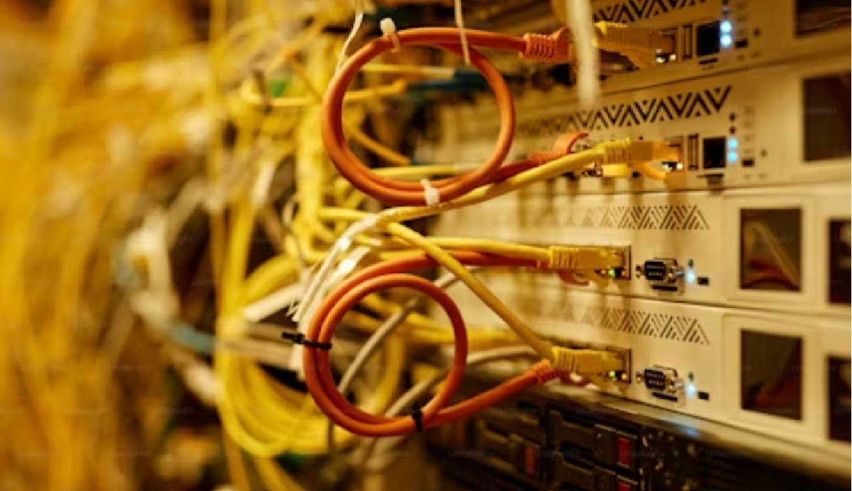 Participants_picture